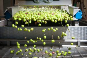 Παγκόσμιο ρεκόρ διακρίσεων (13/13) για Έλληνα ελαιοπαραγωγό σε διεθνή διαγωνισμό ελαιολάδων της Αμερικής – Δείτε ποιος είναι