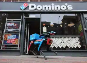 Ο σκύλος – ρομπότ της Domino’s προστατεύει την πίτσα σας από τους γλάρους! (βίντεο)