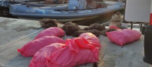 Παράνομο ψάρεμα: 10.200 αχινοί που είχαν αλιευτεί παρανόμως επέστρεψαν στη θάλασσα – Συνελήφθη 49χρονος στο αλιευτικό καταφύγιο Πλατανιά Μαγνησίας