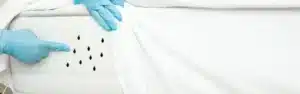 Πώς θα καταλάβετε ότι το εξοχικό σας έχει προσβληθεί από κοριούς