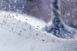 Το χειρότερο μέρος για να αποθηκεύουμε το αλεύρι το καλοκαίρι