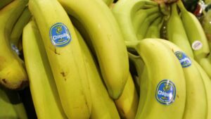 Chiquita: Απολύθηκαν και οι τελευταίοι 1.189 εργάτες της στον Παναμά επειδή απέργησαν για τις συντάξεις τους!