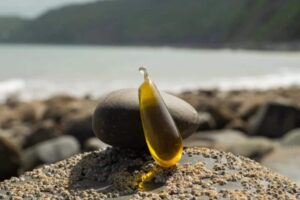 Καινοτομία: Ελαιόλαδο σε φύκια αντί για πλαστικό