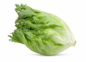 Γιατί το μαρούλι iceberg ονομάστηκε iceberg;