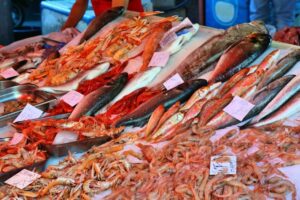Ψηφιακό χάος στα ευρωπαϊκά λιμάνια – Σωροί ψαριών παραμένουν αδιάθετοι λόγω αποτυχίας του νέου συστήματος Catch