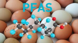 Αυγά: PFAS σε ένα στα τρία δείγματα έδειξε έρευνα κρατικού φορέα – Οι σοβαροί κίνδυνοι για την υγεία