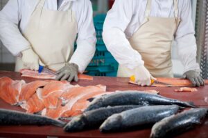 Μπορεί το όζον να απολυμάνει τις εγκαταστάσεις αλιευτικών προϊόντων; Τι δείχνει νέα συγκριτική μελέτη