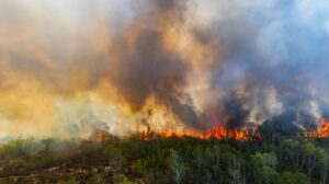 Σε πύρινο κλοιό η χώρα: Εφιαλτική νύχτα σε Αχαΐα, Ζάκυνθο, Χίο, Βόνιτσα και Πρέβεζα – Περιορίστηκε το μέτωπο στα Μέγαρα