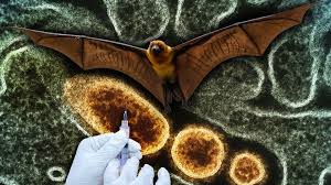 Τέσσερις θάνατοι από τον ιό Nipah στο Μπαγκλαντές – Αυτός είναι ο κίνδυνος για την Ευρώπη