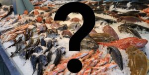 Ποιο φθηνό ψάρι χαρακτηρίζεται πλέον ως superfood, με πληθώρα θρεπτικών συστατικών – Μελέτη του Πανεπιστημίου του Λάνκαστερ
