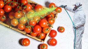 Ντομάτες τίγκα σε επικίνδυνο εντομοκτόνο σε πάγκους σούπερ μάρκετ και αγορών