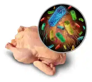 Τροφική δηλητηρίαση από Campylobacter: Τι φταίει και αυξάνονται τα περιστατικά σε όλη την Ευρώπη; Έλληνες επιστήμονες απαντούν