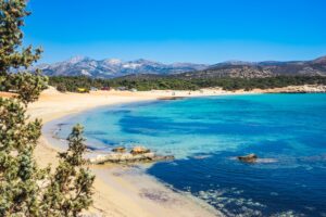Καταγγελία για νεκρά ψάρια στη Νάξο – Κλιμάκιο της Περιφέρειας στο σημείο