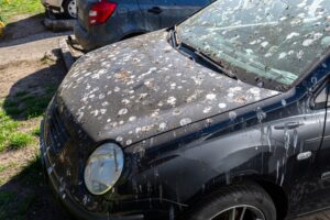 Αυτοκίνητο: Ποιο χρώμα προσελκύει περισσότερες κουτσουλιές