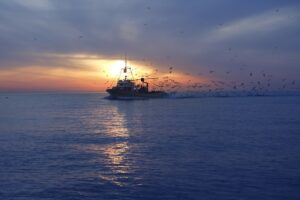 Σε κρίση η ευρωπαϊκή αλιεία λόγω εκτόξευσης της τιμής των καυσίμων
