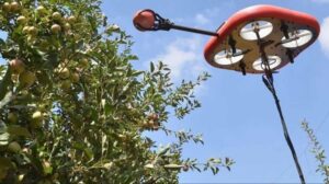 Συγκομιδή λεμονιών με drones και ρομπότ – Εντυπωσιακές εικόνες