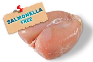 Salmonella στα πουλερικά: Επιστήμονες ανακάλυψαν νέα μέθοδο περιορισμού της