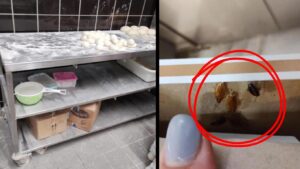 Λουκέτο στο τμήμα παραγωγής αρτοσκευασμάτων μεγάλης αλυσίδας, λόγω εκτεταμένης μόλυνσης από κατσαρίδες (φωτο)