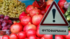 Τα ελληνικά φρούτα και λαχανικά με τα απαγορευμένα φυτοφάρμακα – Αναλυτικοί πίνακες από τους ελέγχους του ΥΠΑΑΤ