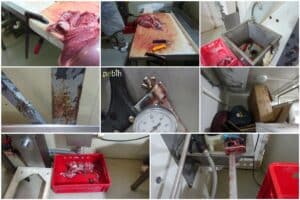 Σωρεία παραβάσεων που απειλούν τη δημόσια υγεία σε εργοστάσιο επεξεργασίας κρέατος – Αναστολή λειτουργίας και κατάσχεση 3 τόνων προϊόντων