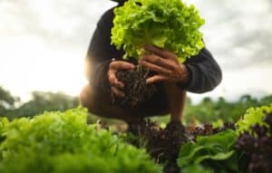 Ντοκιμαντέρ για το Social Farming 360° - Πώς η βιώσιμη γεωργία έγινε εργαλείο επανένταξης κρατουμένων σε έξι σωφρονιστικά καταστήματα