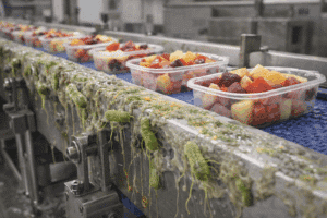 E.coli – STEC: Σχηματισμός βιοφίλμ σε επιφάνειες επεξεργασίας τροφίμων και κίνδυνος επιμόλυνσης λαχανικών