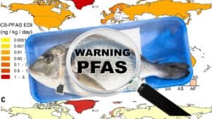 «Αιώνια χημικά» ανιχνεύτηκαν σε όλα τα δείγματα ψαριών, κρεατικών και γαλακτοκομικών σε γνωστή αλυσίδα σούπερ μάρκετ