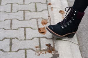 Πώς να καθαρίσετε λεκέδες από περιττώματα σκύλου στα παπούτσια σας