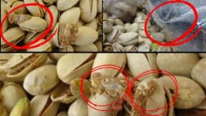 Αποσύρονται κελυφωτά φιστίκια από μεγάλο σούπερ μάρκετ λόγω παρουσίας αλευροσκώληκα (Φωτογραφίες)