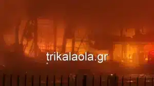 Η ανακοίνωση της Βιολάντα για την πολύνεκρη τραγωδία
