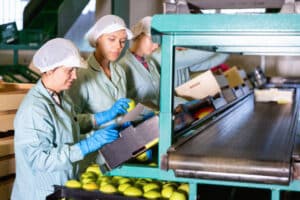 Η Listeria δεν φεύγει εύκολα: Τι δείχνει νέα πανεπιστημιακή μελέτη για την απολύμανση επιφανειών στη βιομηχανία τροφίμων