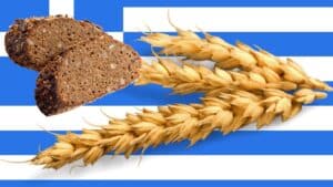 Ελληνική σίκαλη: Αποτελέσματα πρόσφατης γενετικής μελέτης για ένα από τα πιο παραδοσιακά δημητριακά
