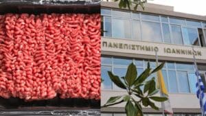 Οι Έλληνες ερευνητές που κατάφεραν να παρατείνουν τη διάρκεια ζωής του κιμά