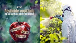 Μήλα: 1 στα 3 περιέχει νευροτοξικά φυτοφάρμακα και μόνο το 7% είναι εντελώς  «καθαρά» – Έρευνα της PAN Europe