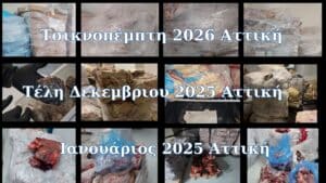 Ληγμένο κρέας στην Ελληνική αγορά: Επαναλαμβανόμενα περιστατικά και κίνδυνοι – Δείτε φωτογραφίες της κατάσχεσης των 4,7 τόνων