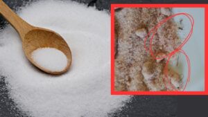 Τρίχες και ακαθαρσίες σε αλάτι που πωλείται από μεγάλη αλυσίδα – Το εντόπισαν οι κρατικοί ελεγκτές (φωτογραφίες)