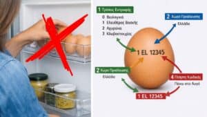 Τι πρέπει να προσέχουμε όταν αγοράζουμε αυγά