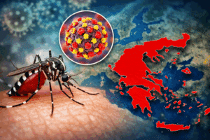 Η Ελλάδα στη ζώνη υψηλού κινδύνου για τη μετάδοση του ιού Chikungunya από κουνούπι – Σε ποιους μπορεί να προκαλέσει επίμονες επιπλοκές
