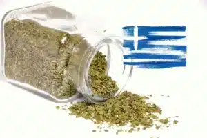 Ελληνική ρίγανη προκαλεί συναγερμό σε δύο Ευρωπαϊκές χώρες – Ανιχνεύτηκε τοξική ουσία που βλάπτει το ήπαρ