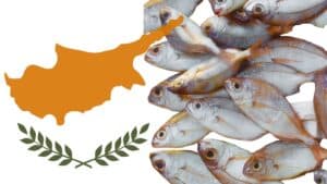 Σοβαρές ελλείψεις στους ελέγχους αλιευτικών προϊόντων στην Κύπρο, καταγράφει έκθεση της Κομισιόν
