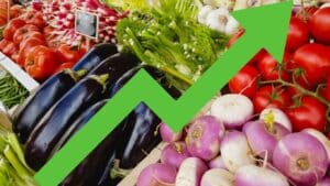 Λαχανικά: Εκτόξευση τιμών έως και +150% – Η ακρίβεια «τσακίζει» τα νοικοκυριά