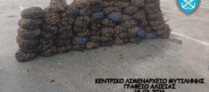 Μυτιλήνη: Παράνομη διακίνηση σχεδόν ενός τόνου δίθυρων μαλακίων – Κατασχέθηκαν από το Λιμενικό