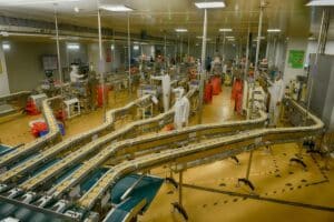 Μικροενθυλάκωση: Η τεχνολογία που ελέγχει πότε και πού απελευθερώνεται η γεύση στα τρόφιμα
