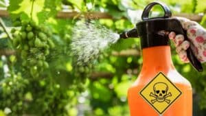 ΕΕ: Νέο πρόγραμμα ελέγχου φυτοφαρμάκων σε τρόφιμα για 2026-2028 - Βρεφικές τροφές, βιολογικά προϊόντα και χαλκός στο επίκεντρο