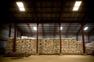 FAO: Η παρατεταμένη κρίση στο Ορμούζ μπορεί να πλήξει σιτάρι, ρύζι και καλαμπόκι παγκοσμίως