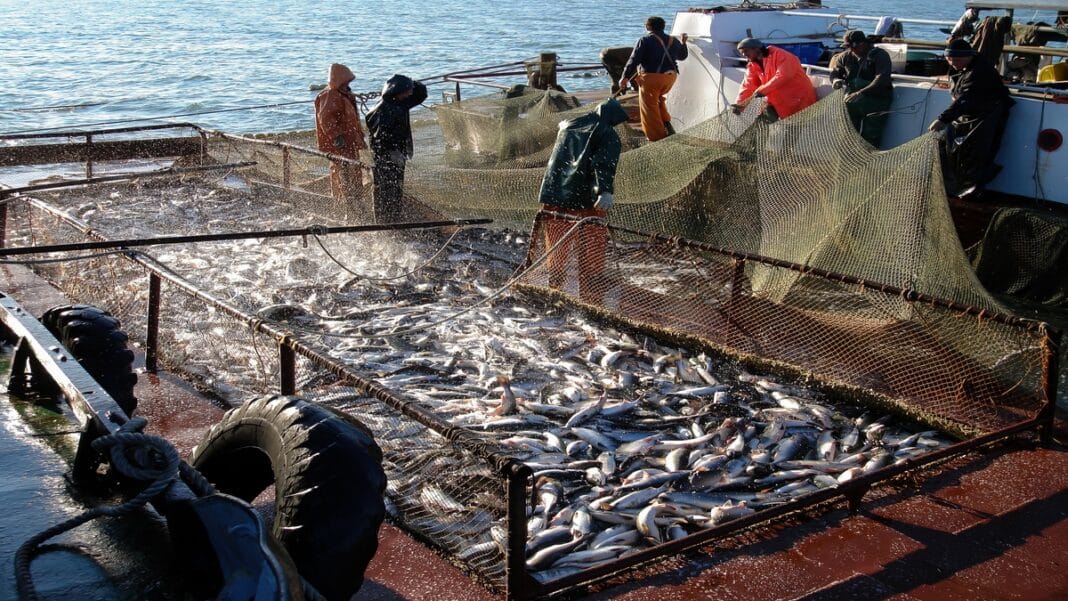 Η βιομηχανία θαλασσινών τρέφει 600 εκατομμύρια ανθρώπους και κινδυνεύει να χάσει την εμπιστοσύνη των καταναλωτών