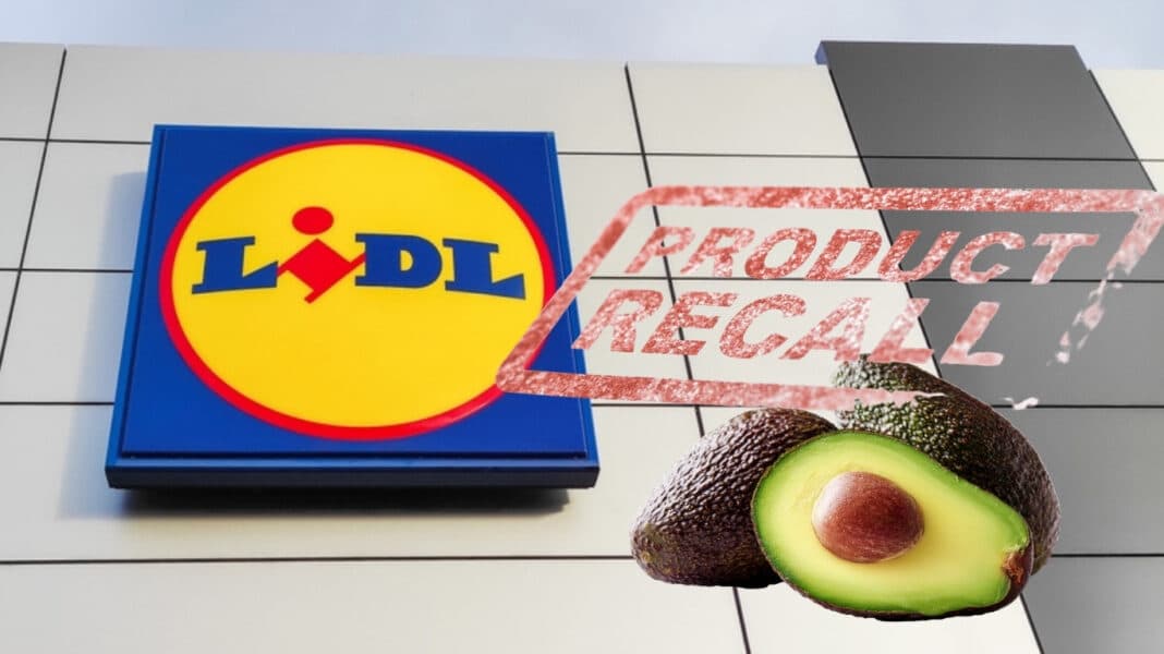 Lidl Fr: Συναγερμός για τοξικά αβοκάντο συμβατικής και βιολογικής καλλιέργειας - Αποσύρονται από όλα τα καταστήματα