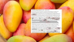 Συρροή κρουσμάτων σαλμονέλας από μάνγκο - Τα κρίσιμα στοιχεία που δεν αποκάλυψαν οι αρχές - Cibum.gr