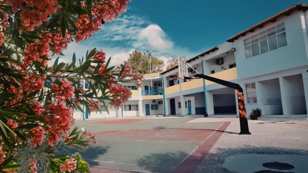 Τοξική πικροδάφνη: Το Γεωτεχνικό Επιμελητήριο διαχωρίζει τον θεωρητικό κίνδυνο από την πραγματική επιδημιολογική εικόνα