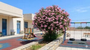 Ελλάδα: Η τοξικότητα της πικροδάφνης στα σχολεία που προκάλεσε δημόσια αντιπαράθεση
